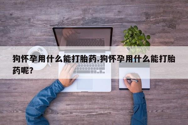 网上打胎药私人店,打胎药专卖狗怀孕用什么能打胎药.狗怀孕用什么能打胎药呢？
