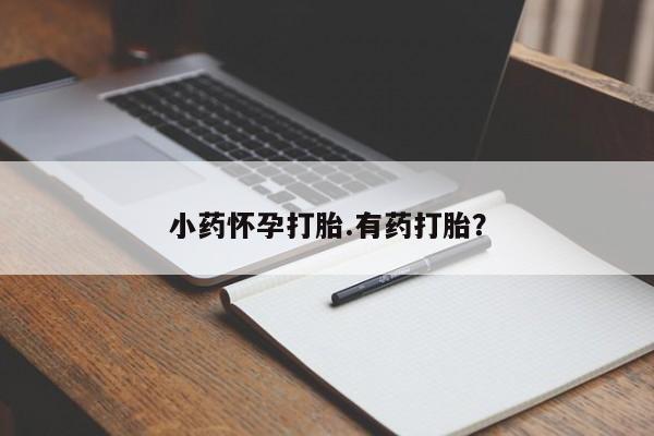 网上打胎药私人店,打胎药专卖小药怀孕打胎.有药打胎？