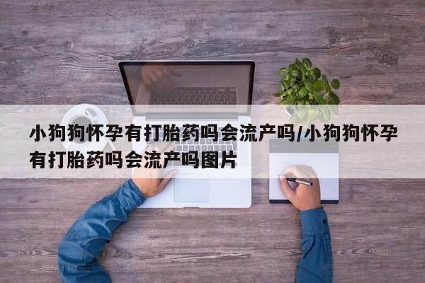 网上打胎药私人店,打胎药专卖小狗狗怀孕有打胎药吗会流产吗/小狗狗怀孕有打胎药吗会流产吗图片