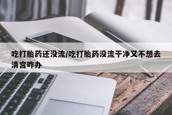 网上打胎药私人店,打胎药专卖吃打胎药还没流/吃打胎药没流干净又不想去清宫咋办