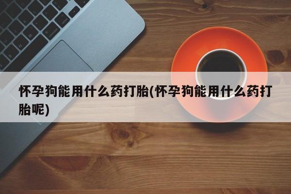 网上打胎药私人店,打胎药专卖怀孕狗能用什么药打胎(怀孕狗能用什么药打胎呢)